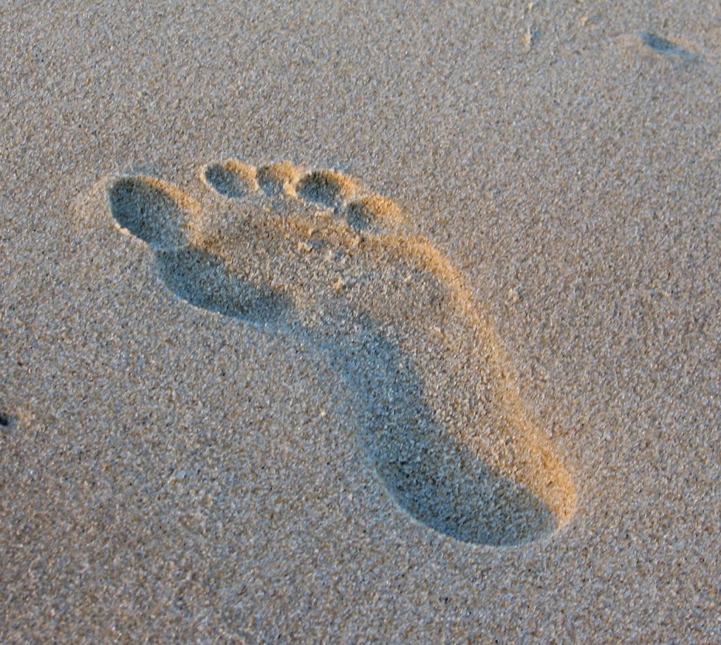 Como garantir que as marcas que deixamos ao longo da nossa caminhada sejam preservadas?