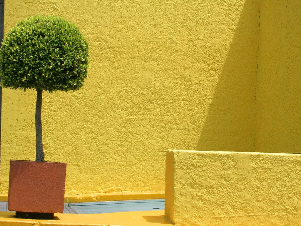 Qual a finalidade dos muros altos que envolvem os edifícios que abrigam instituições de longa permanência para idosos?